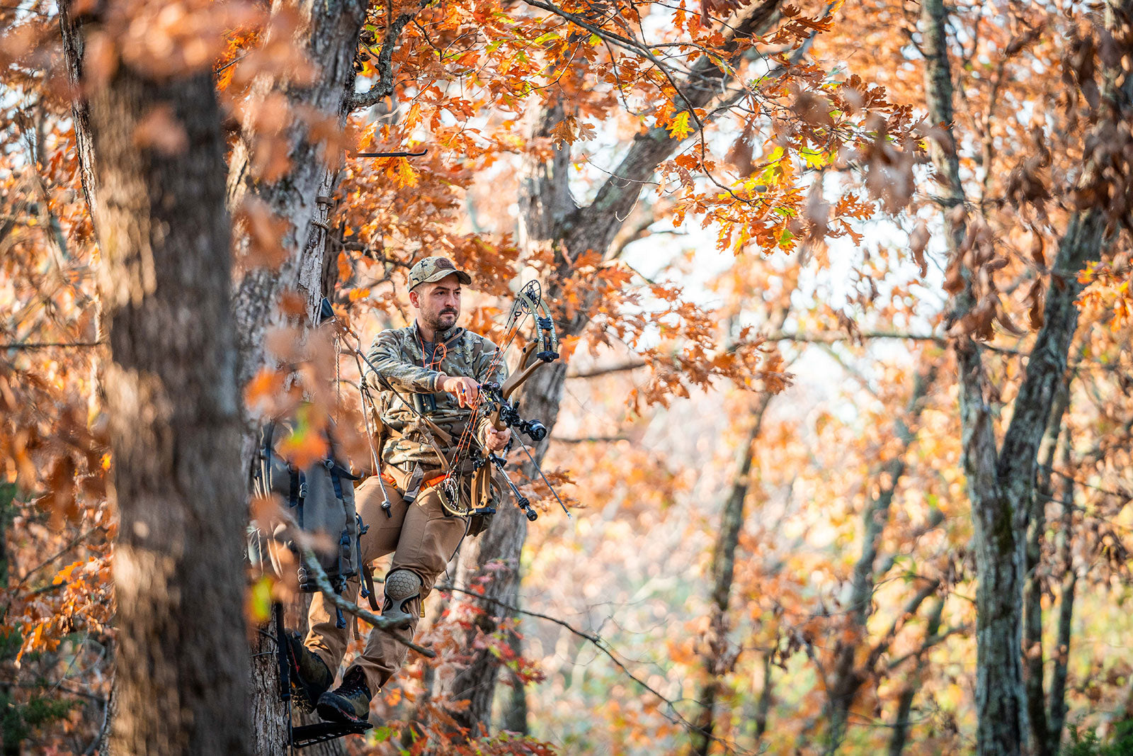 Mach 33 DS Carbon- FDS