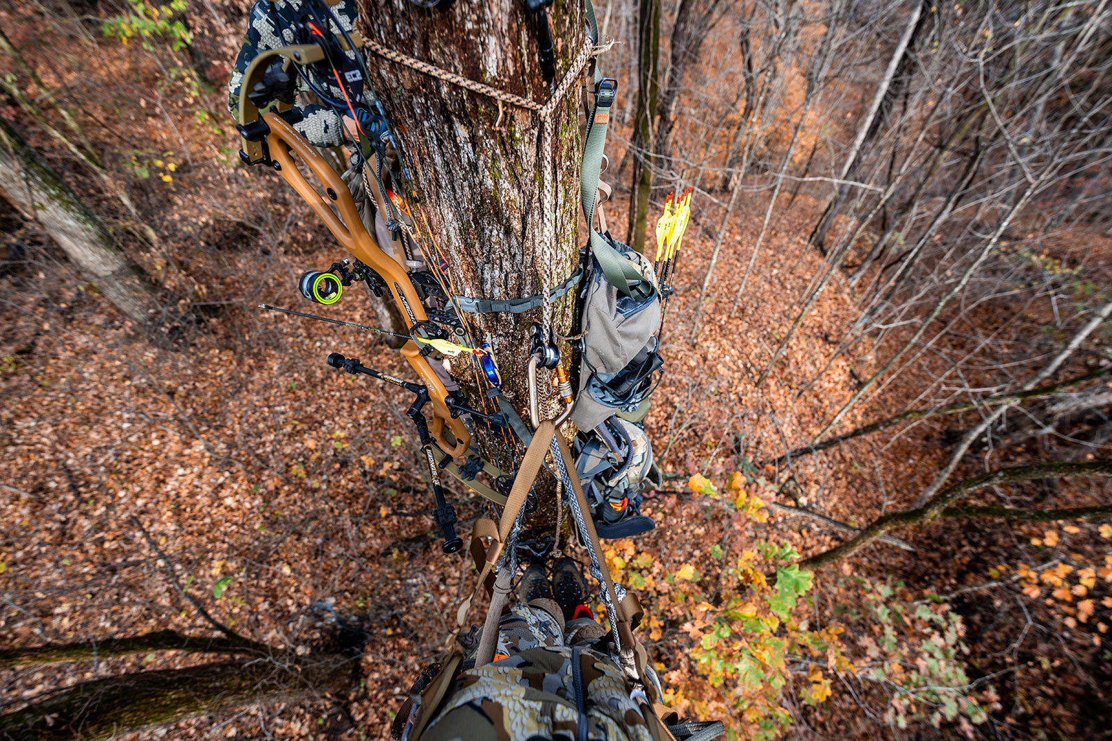 Mach 33 DS Carbon- FDS