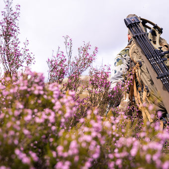 Mach 33 DS Carbon- FDS