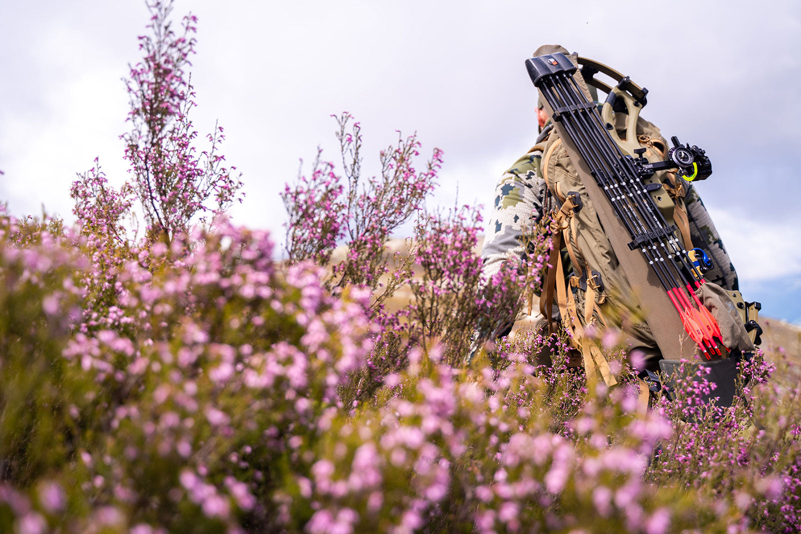 Mach 33 DS Carbon- FDS