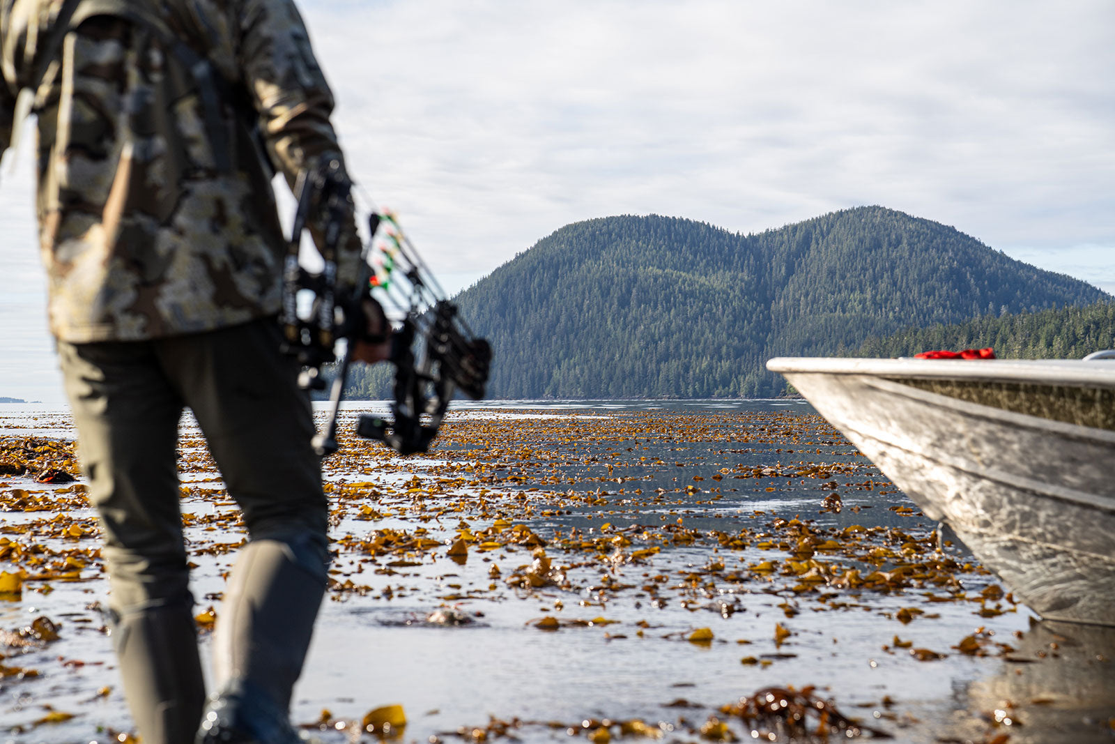 Mach 35 DS Carbon- FDS