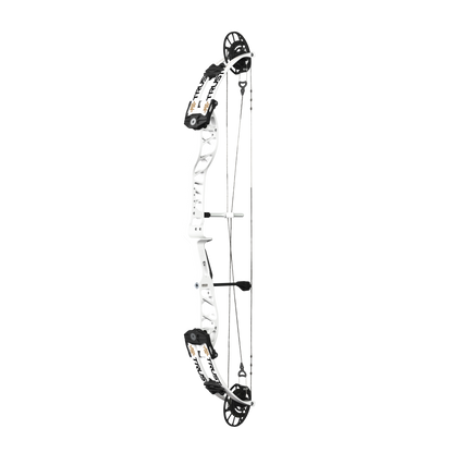 Supra Trust 37