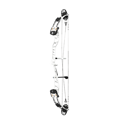Supra Trust 37