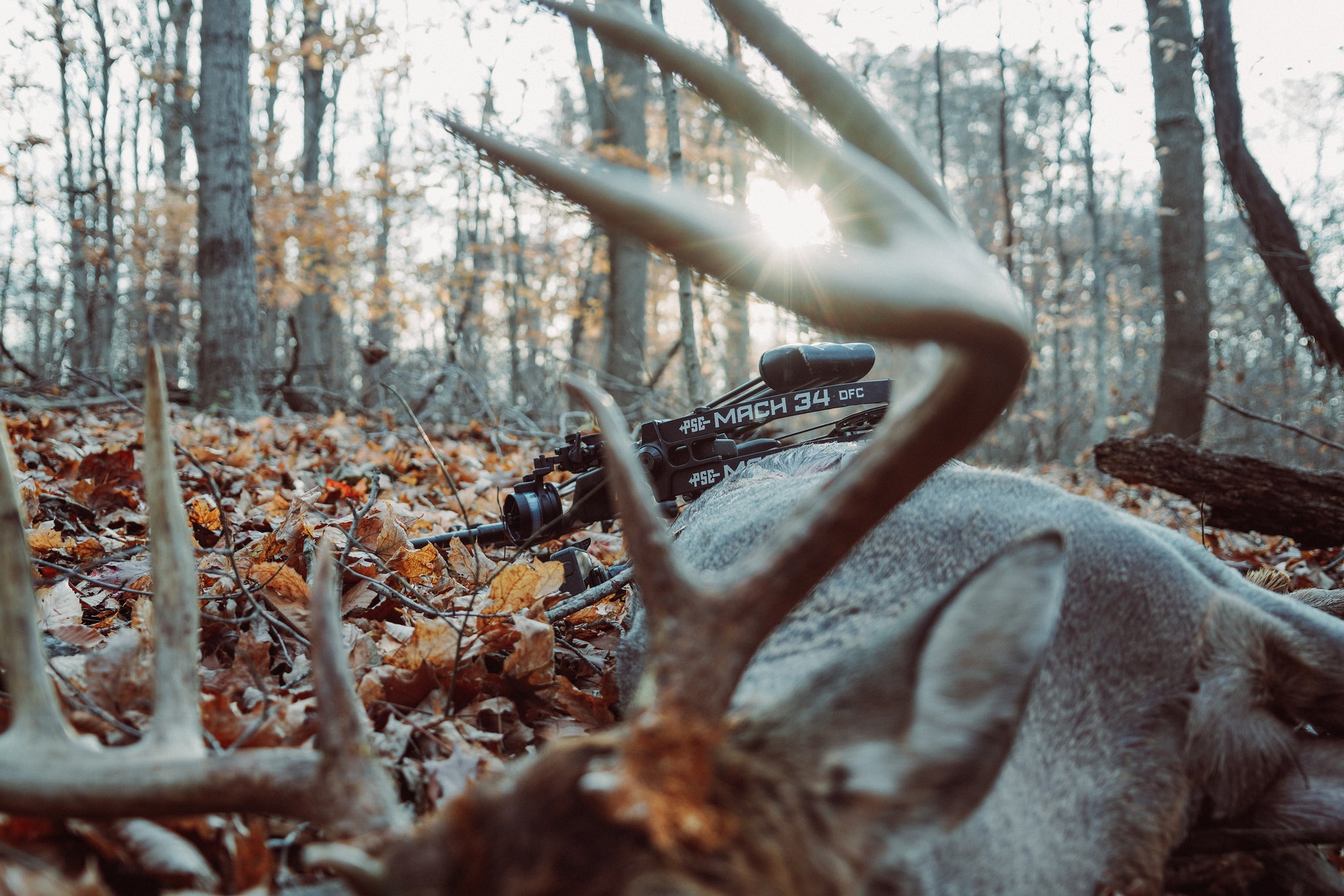 PSE Archery Dealer Locator Find your PSE Bow Official PSE Archery Store